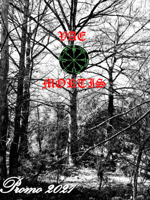 Vae Mortis : Promo 2021